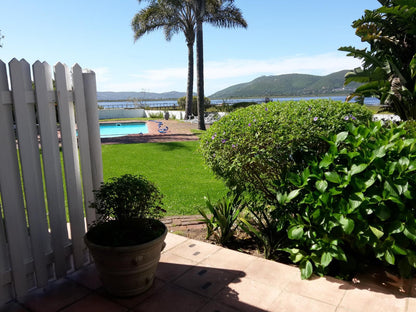 Point Lodge The Point Knysna Western Cape South Africa Beach, Nature, Sand, Palm Tree, Plant, Wood