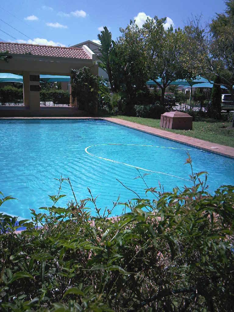 Polo Executive Apartments Sandton Morningside Jhb Johannesburg Gauteng South Africa Swimming Pool