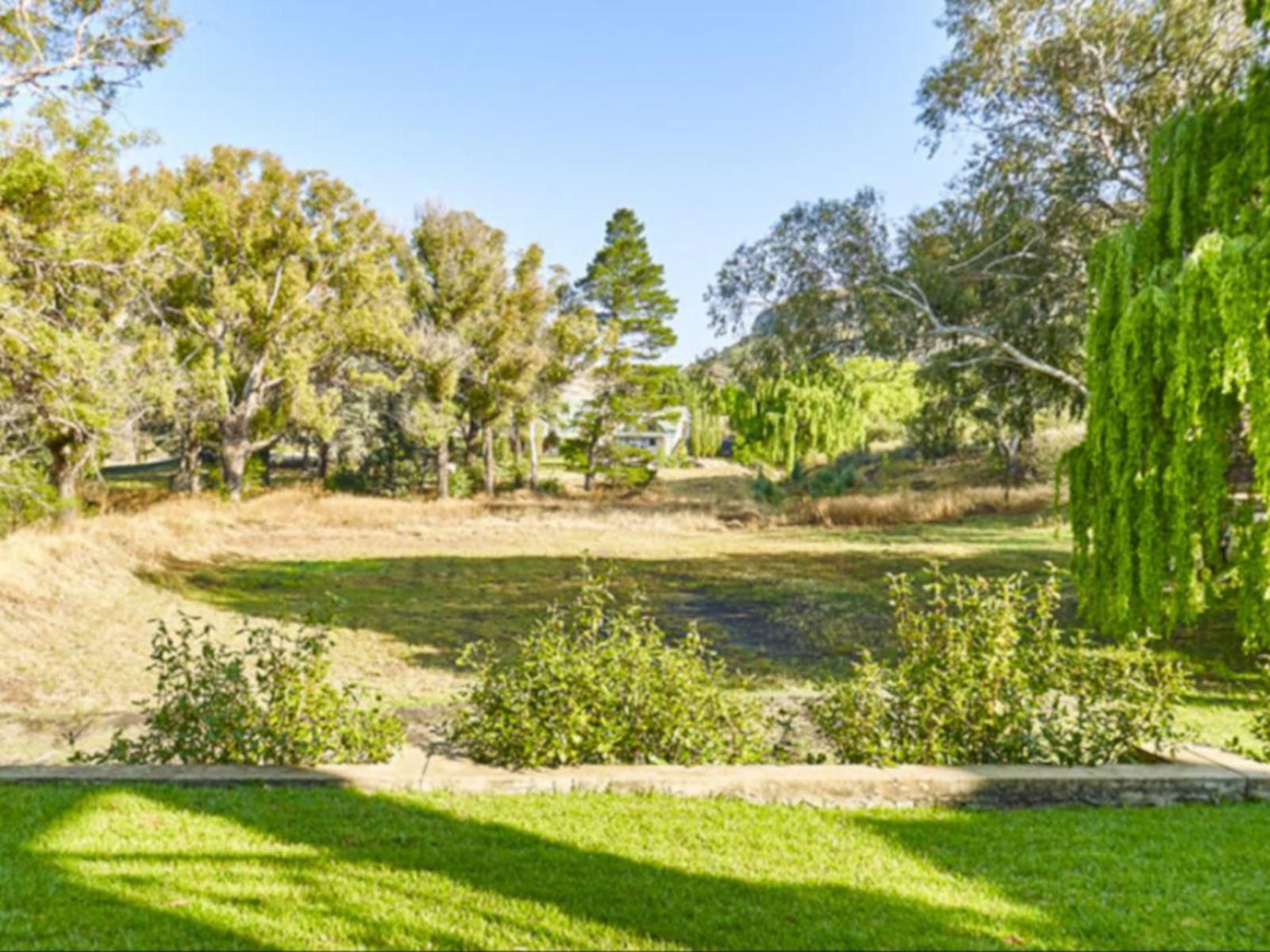 Pond End Villa S Clarens Free State South Africa Colorful, Plant, Nature, Ball Game, Sport, Garden, Golfing