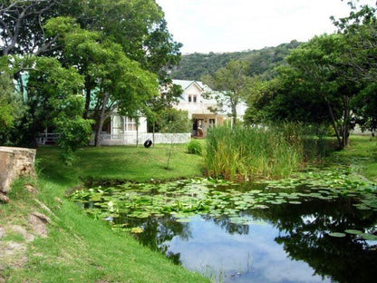Pond House Piesang Valley Plettenberg Bay Western Cape South Africa House, Building, Architecture, River, Nature, Waters, Tree, Plant, Wood, Garden