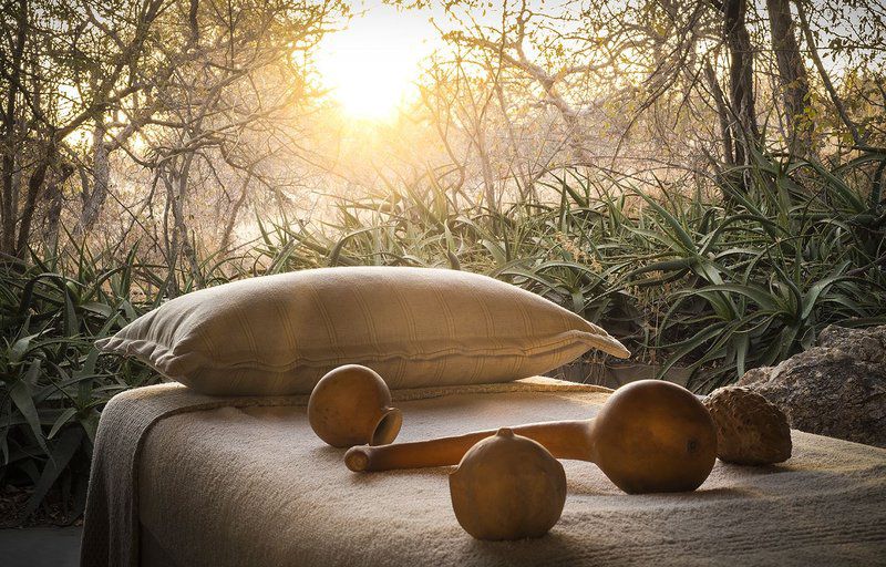 Pondoro Game Lodge Balule Nature Reserve Mpumalanga South Africa Sepia Tones