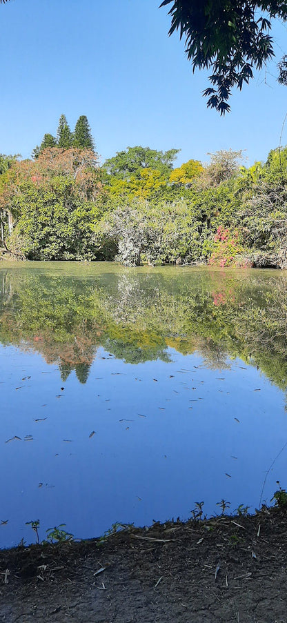 Pongola Tropical Pongola Kwazulu Natal South Africa Complementary Colors, River, Nature, Waters