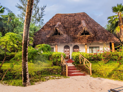 Pongwe Beach Hotel, Building, Architecture, House, Island, Nature, Palm Tree, Plant, Wood