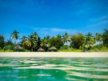 Pongwe Beach Hotel, Colorful, Beach, Nature, Sand, Island, Palm Tree, Plant, Wood