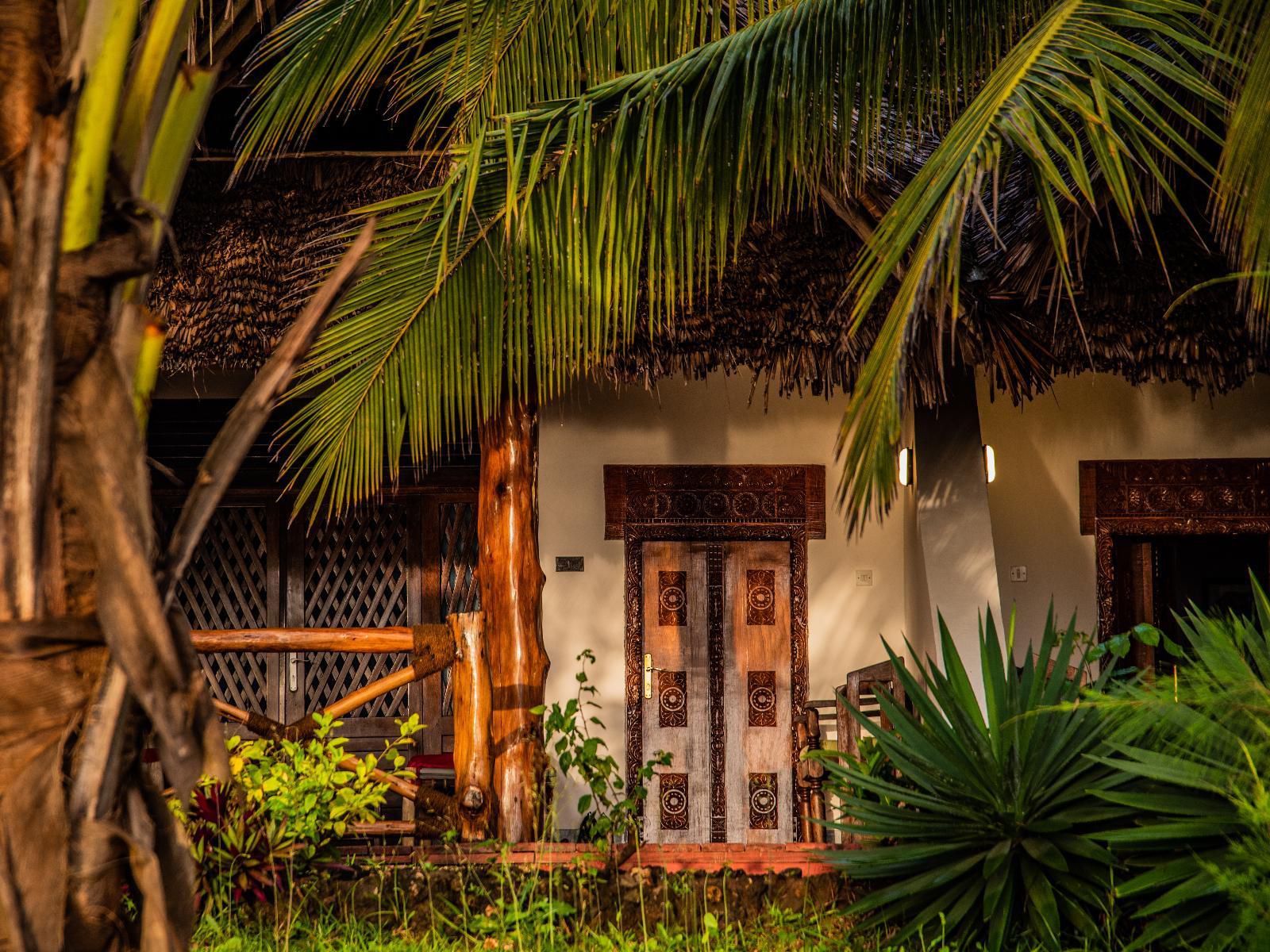 Pongwe Beach Hotel, Palm Tree, Plant, Nature, Wood