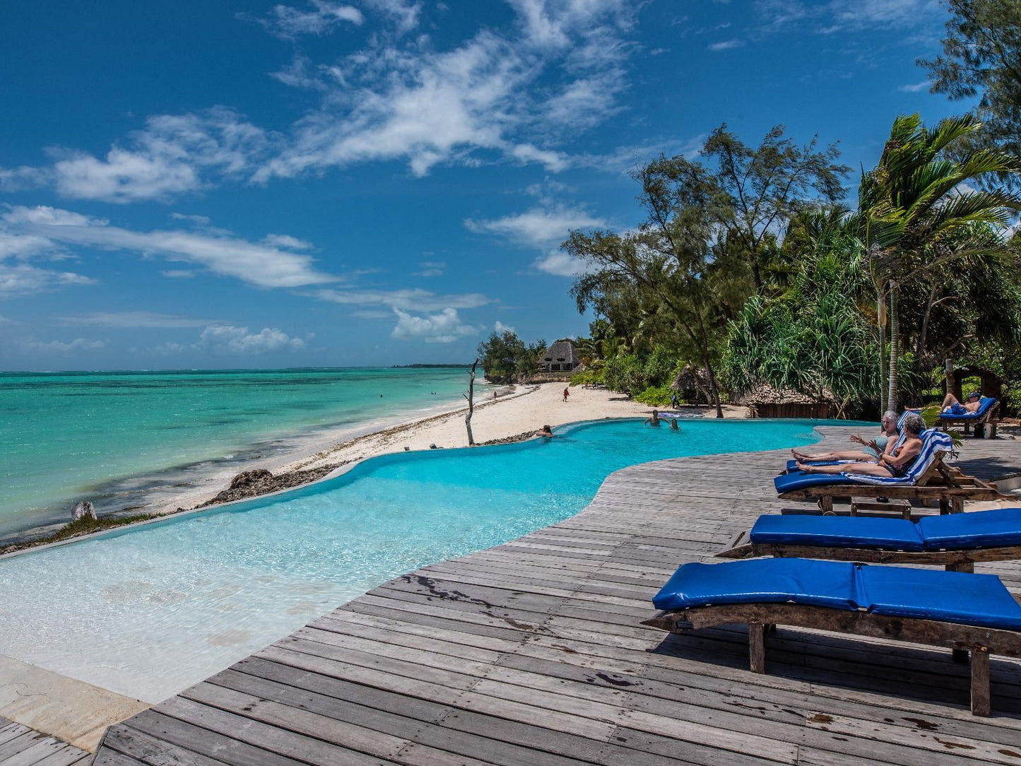 Pongwe Beach Hotel, Beach, Nature, Sand, Island, Palm Tree, Plant, Wood, Swimming Pool