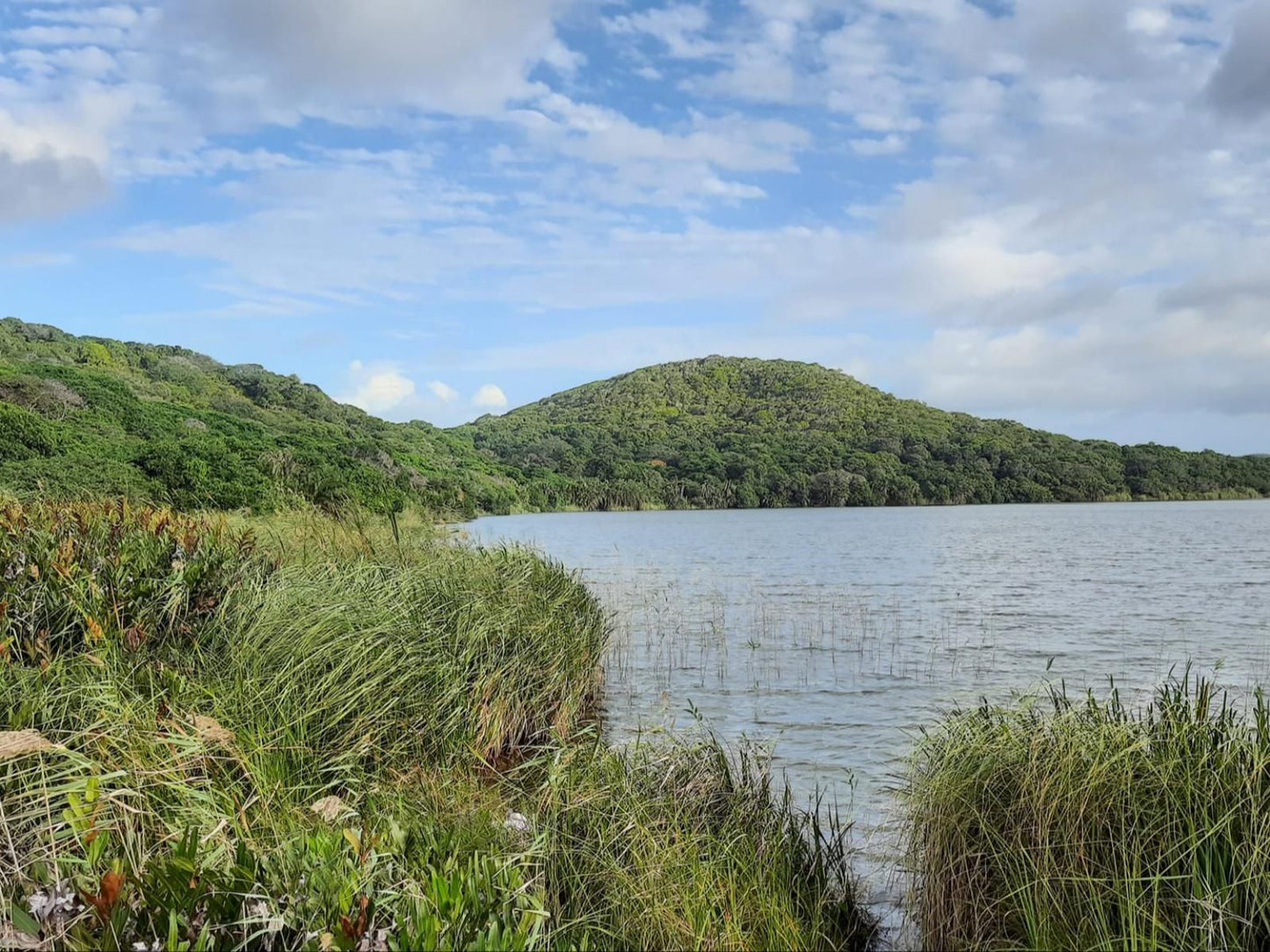 Ponta Membene, Highland, Nature