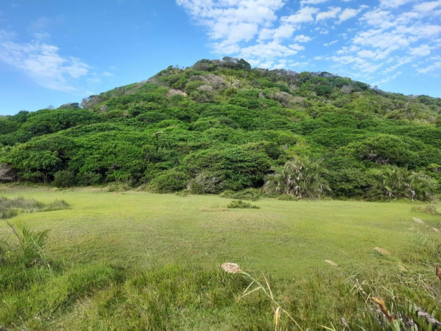 Ponta Membene, Highland, Nature