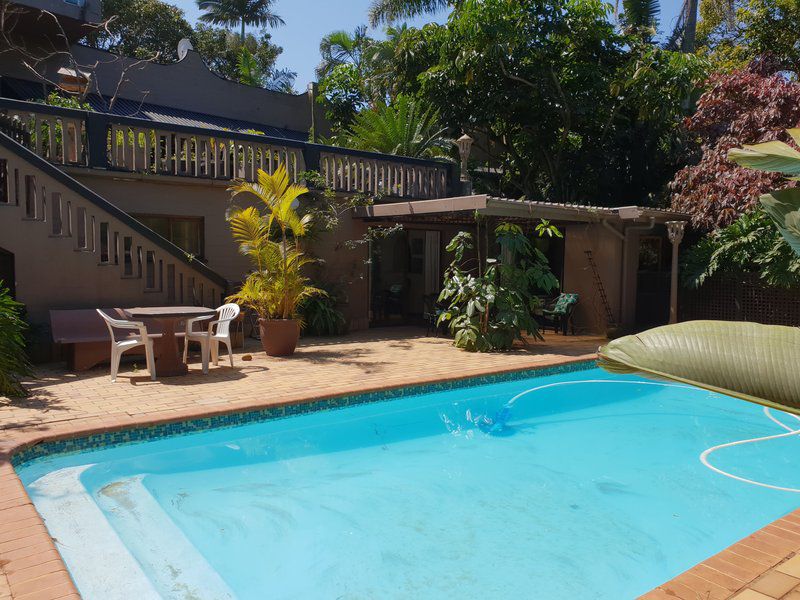 Pool Flat 800M To Beach Ballito Kwazulu Natal South Africa Complementary Colors, Palm Tree, Plant, Nature, Wood, Swimming Pool