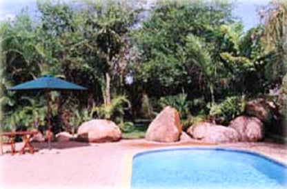 Poona Lodge Phalaborwa Limpopo Province South Africa Palm Tree, Plant, Nature, Wood, Swimming Pool
