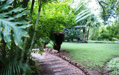 Poona Lodge Phalaborwa Limpopo Province South Africa Palm Tree, Plant, Nature, Wood, Tree, Garden