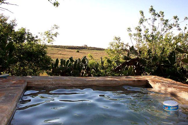 Poortje Game Farm Villiers Free State South Africa Nature, Swimming Pool