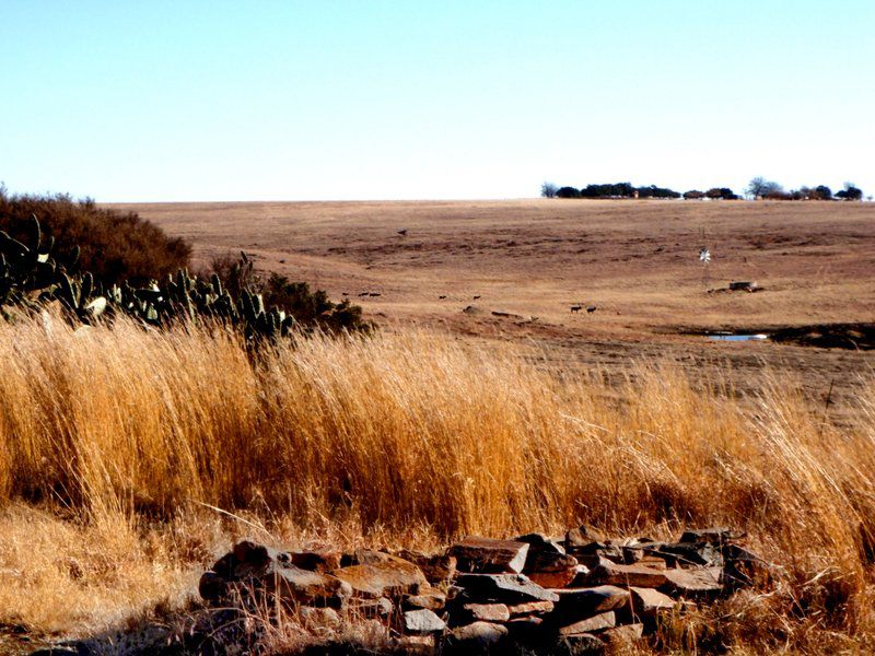 Poortje Game Farm Villiers Free State South Africa Complementary Colors, Colorful, Field, Nature, Agriculture, Desert, Sand, Lowland