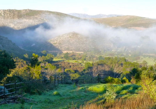 Porcupine Hills Guest Farm Bot River Western Cape South Africa Mountain, Nature, Highland