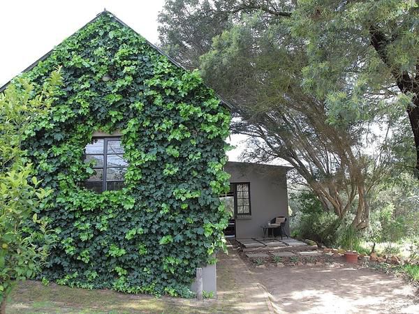 Porcupine Hills Guest Farm Bot River Western Cape South Africa Building, Architecture, House, Plant, Nature, Tree, Wood, Garden