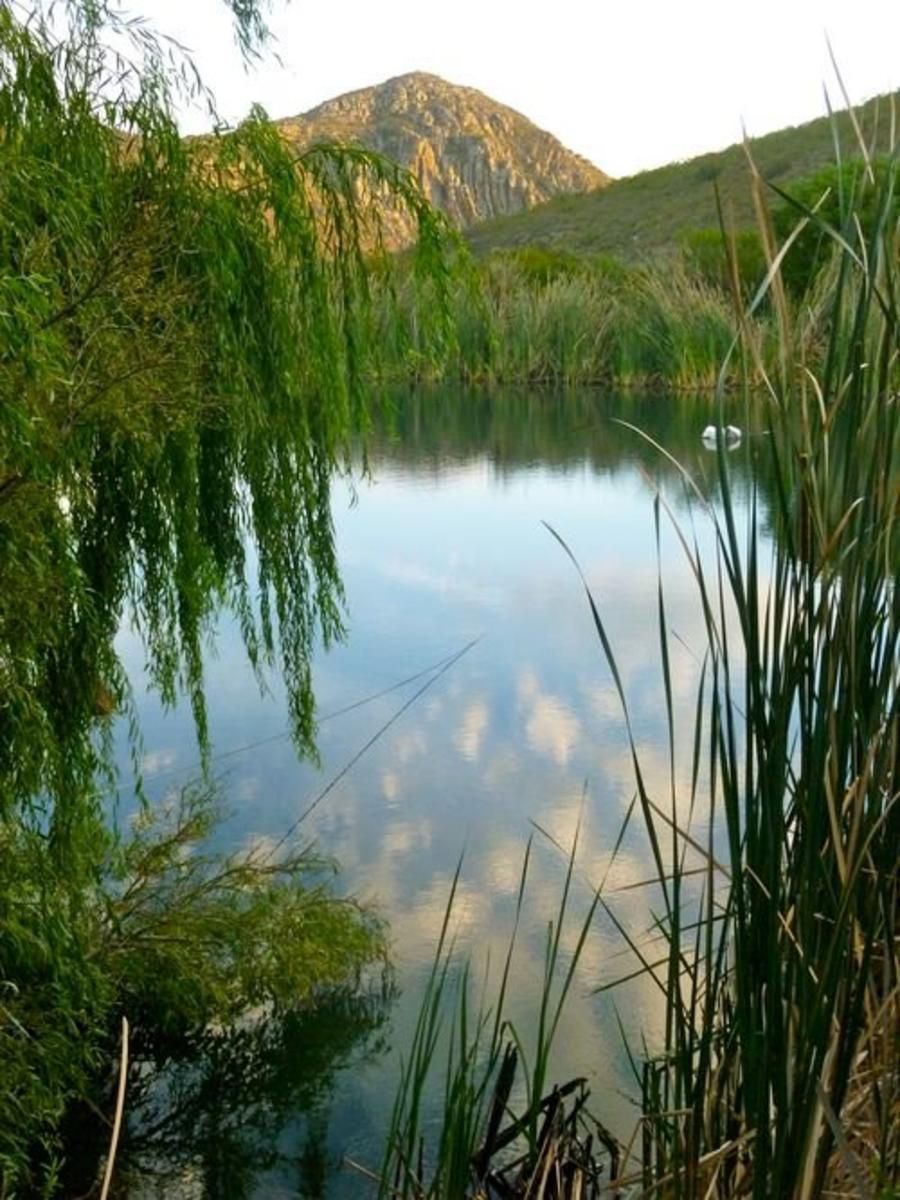 Porcupine Hills Guest Farm Bot River Western Cape South Africa Lake, Nature, Waters