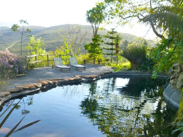 Porcupine Hills Guest Farm Bot River Western Cape South Africa Garden, Nature, Plant, Swimming Pool