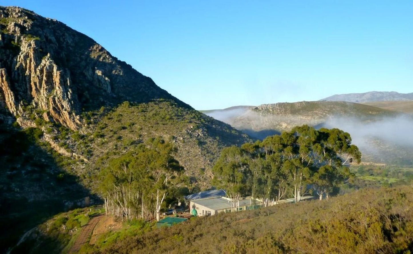 Porcupine Hills Guest Farm Bot River Western Cape South Africa Complementary Colors, Mountain, Nature