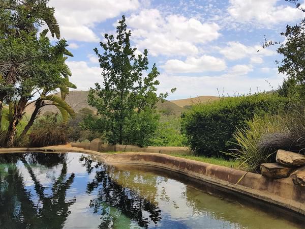 Porcupine Hills Guest Farm Bot River Western Cape South Africa River, Nature, Waters, Garden, Plant