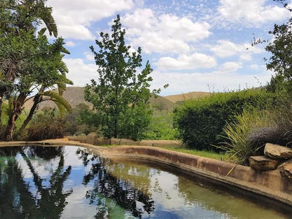 Porcupine Hills Guest Farm Bot River Western Cape South Africa River, Nature, Waters, Garden, Plant