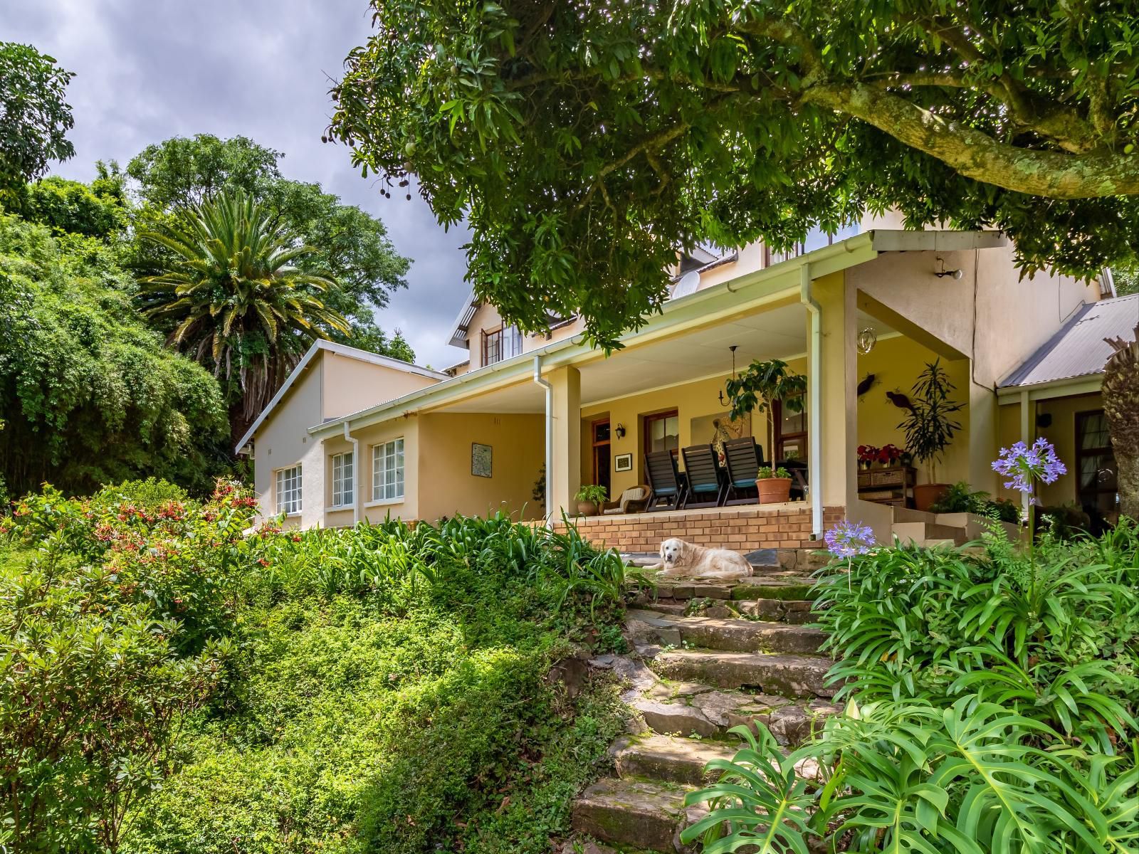 Porcupine Ridge Guest House Sabie Mpumalanga South Africa House, Building, Architecture, Palm Tree, Plant, Nature, Wood