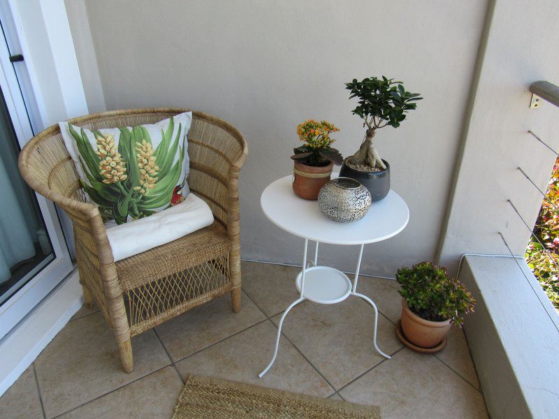 Port Of Call Simons Town Cape Town Western Cape South Africa Basket, Garden, Nature, Plant, Living Room