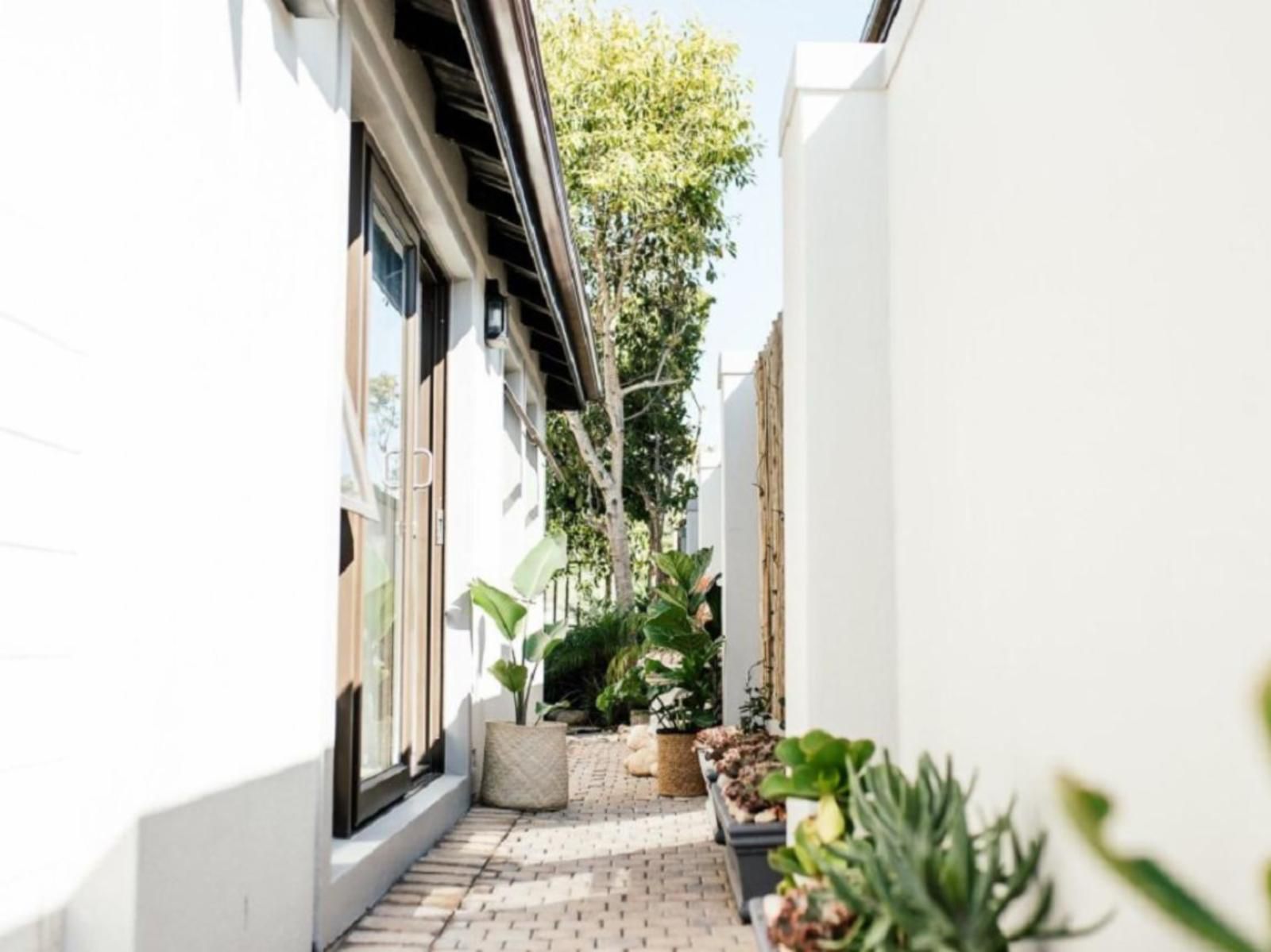 Portico 601 Table View Blouberg Western Cape South Africa Balcony, Architecture, House, Building, Garden, Nature, Plant