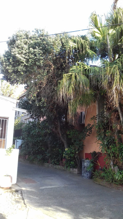 Portside Inn Quigney East London Eastern Cape South Africa House, Building, Architecture, Palm Tree, Plant, Nature, Wood, Garden