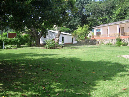 Port St Johns Farmhouse Port St Johns Eastern Cape South Africa Palm Tree, Plant, Nature, Wood