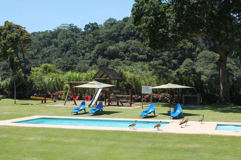 Port St John S River Lodge Port St Johns Eastern Cape South Africa Swimming Pool