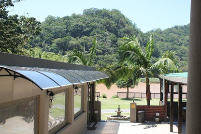 Port St John S River Lodge Port St Johns Eastern Cape South Africa Palm Tree, Plant, Nature, Wood