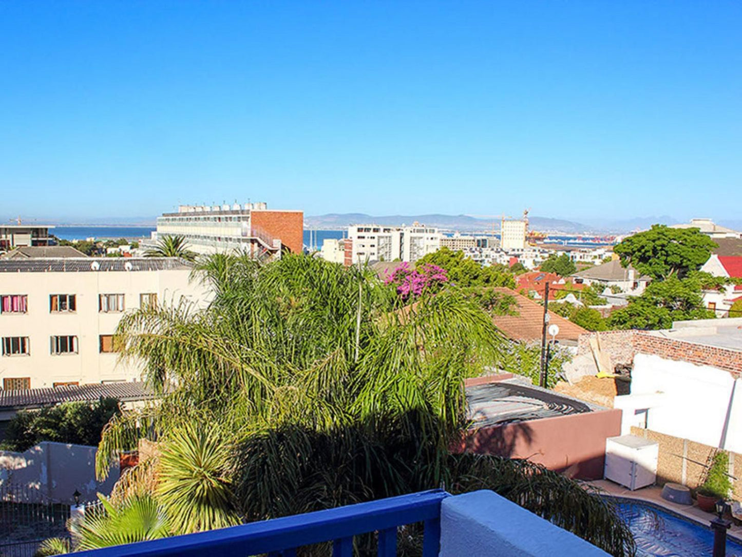 Port View House Green Point Cape Town Western Cape South Africa Complementary Colors, Palm Tree, Plant, Nature, Wood