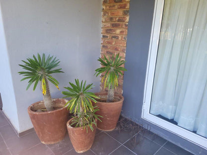 Potch Best Rest Potchefstroom North West Province South Africa Plant, Nature, Garden