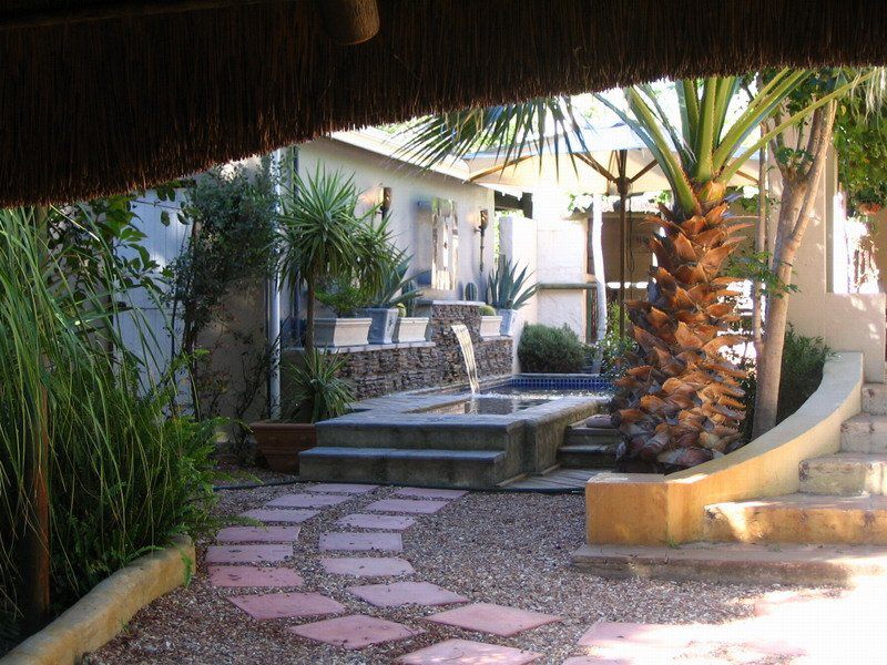 Potpourri Guest House Riebeeck West Riebeek West Western Cape South Africa Palm Tree, Plant, Nature, Wood, Garden