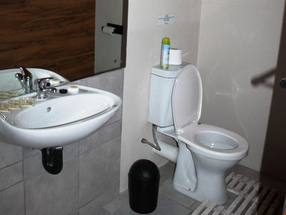 Potties Guest House De Aar Northern Cape South Africa Bathroom