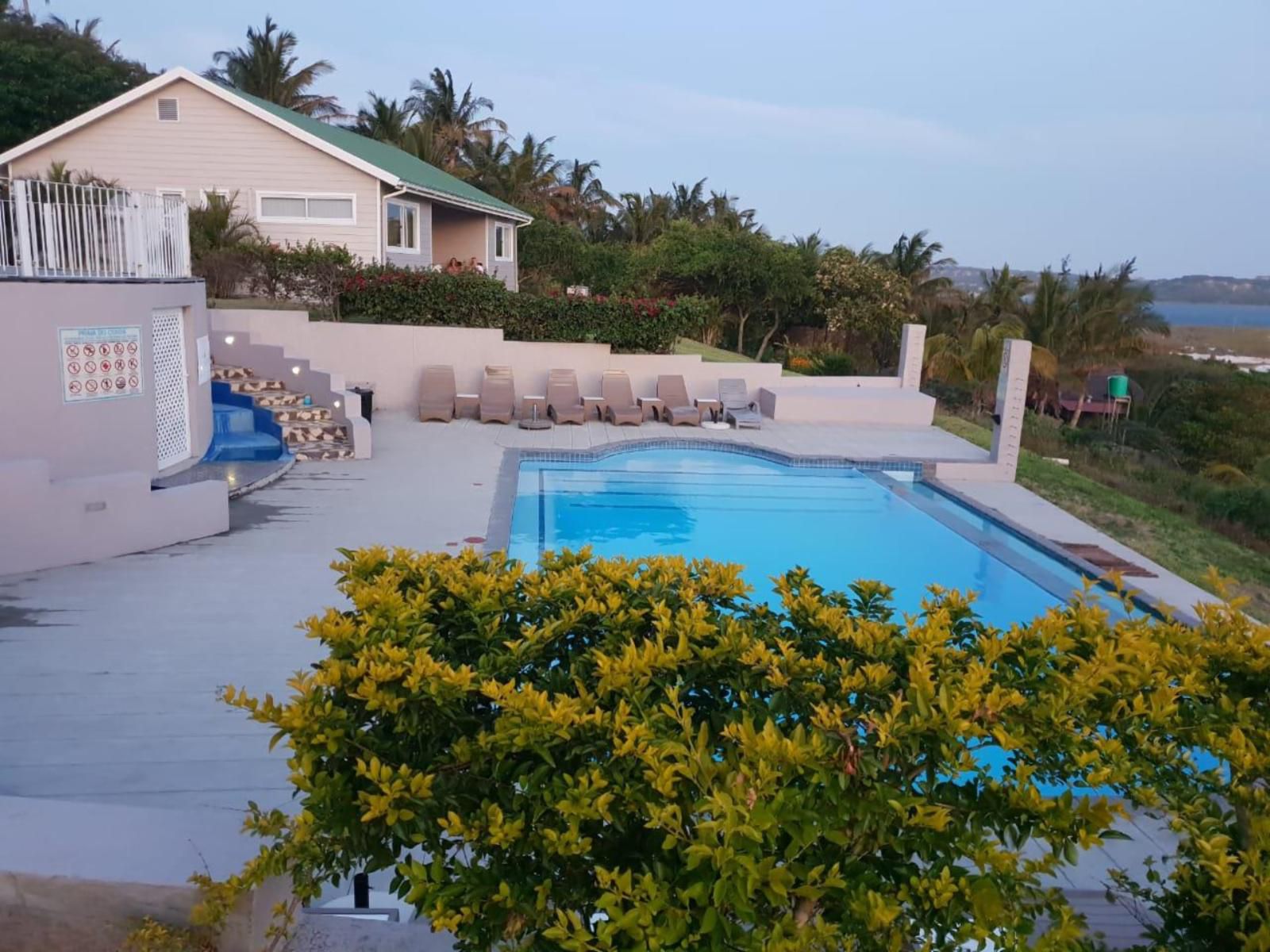 Praia Do Cossa, Beach, Nature, Sand, Palm Tree, Plant, Wood, Swimming Pool