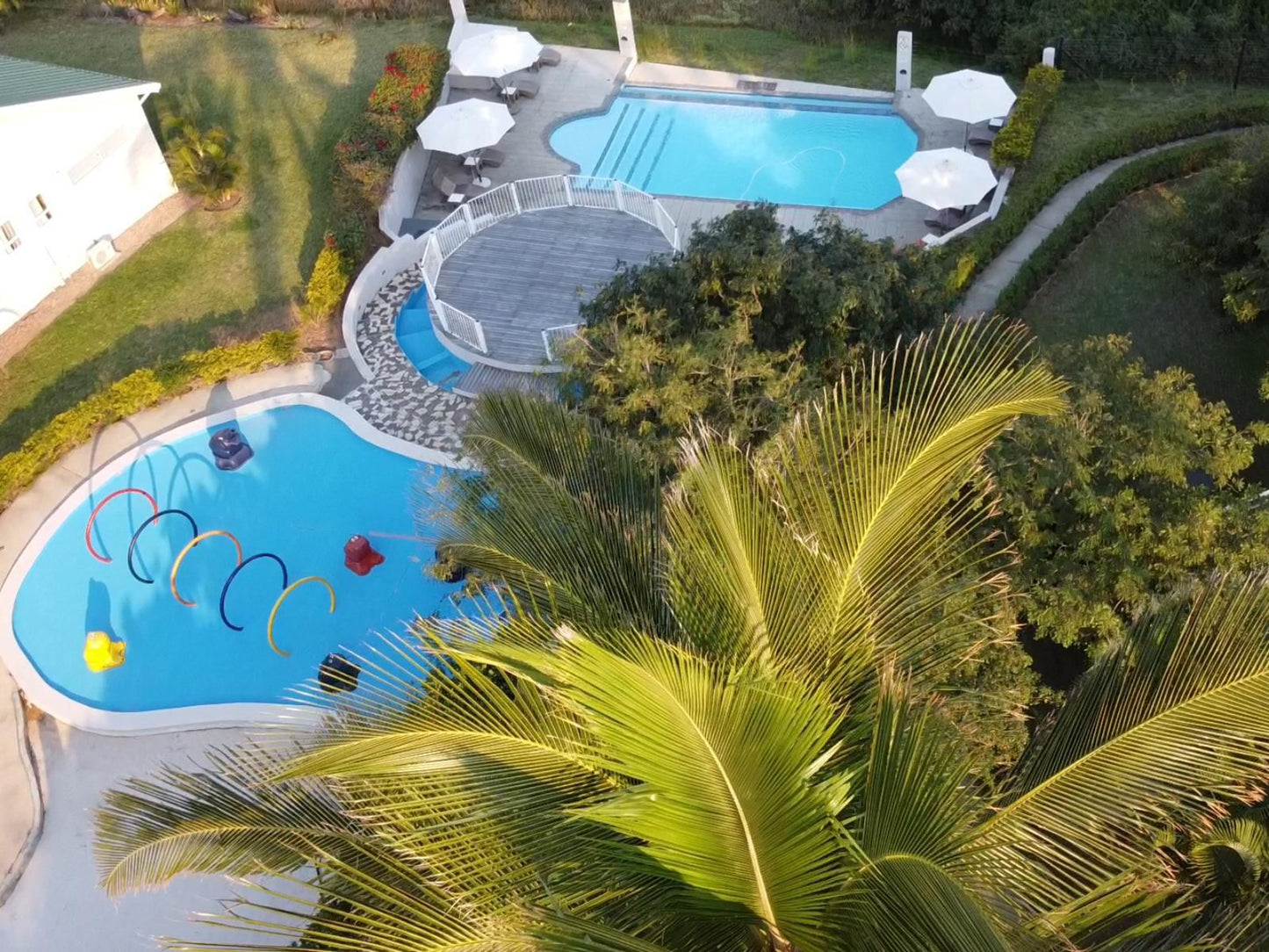 Praia Do Cossa, Palm Tree, Plant, Nature, Wood, Garden, Swimming Pool