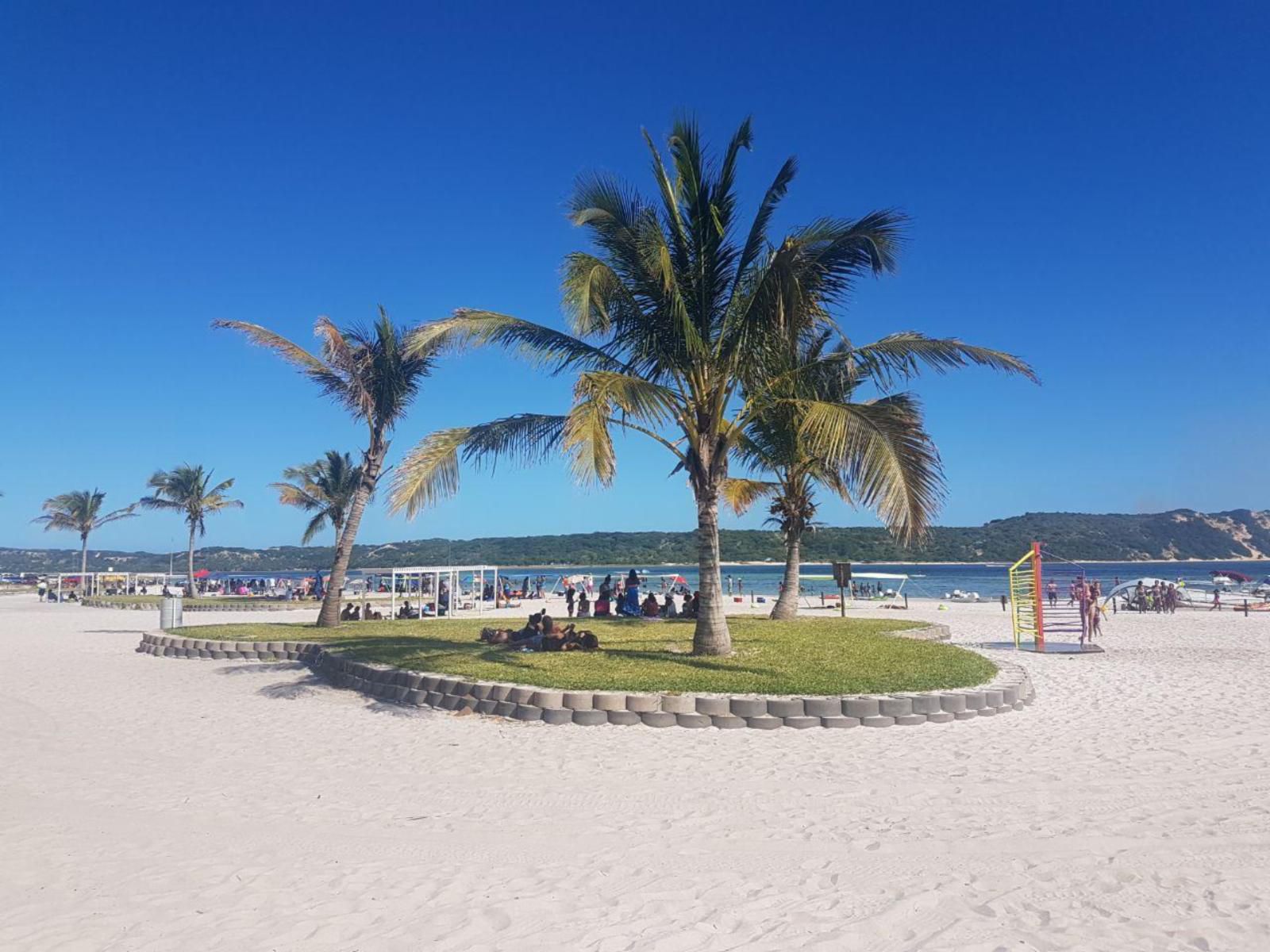 Praia Do Cossa, Beach, Nature, Sand, Palm Tree, Plant, Wood