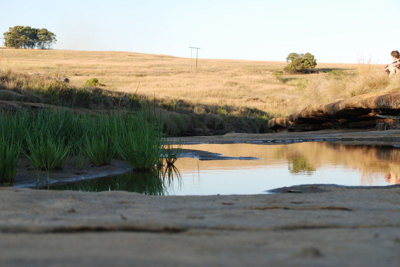 Pride Rock Safari Louwsburg Kwazulu Natal South Africa River, Nature, Waters, Lowland