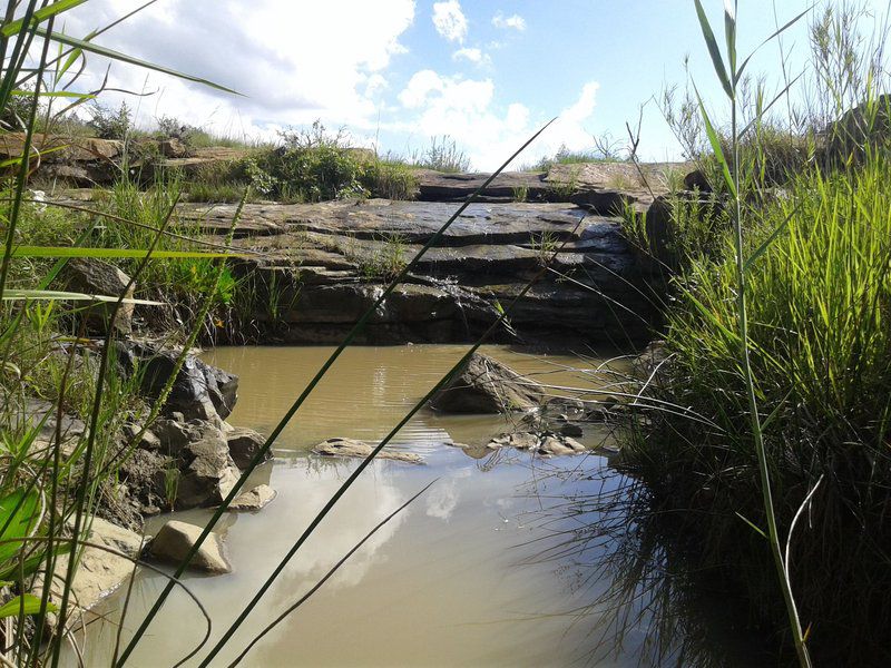 Pride Rock Safari Louwsburg Kwazulu Natal South Africa River, Nature, Waters