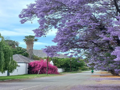 Prince Albert Cottage, Blossom, Plant, Nature, House, Building, Architecture, Palm Tree, Wood, Infrared