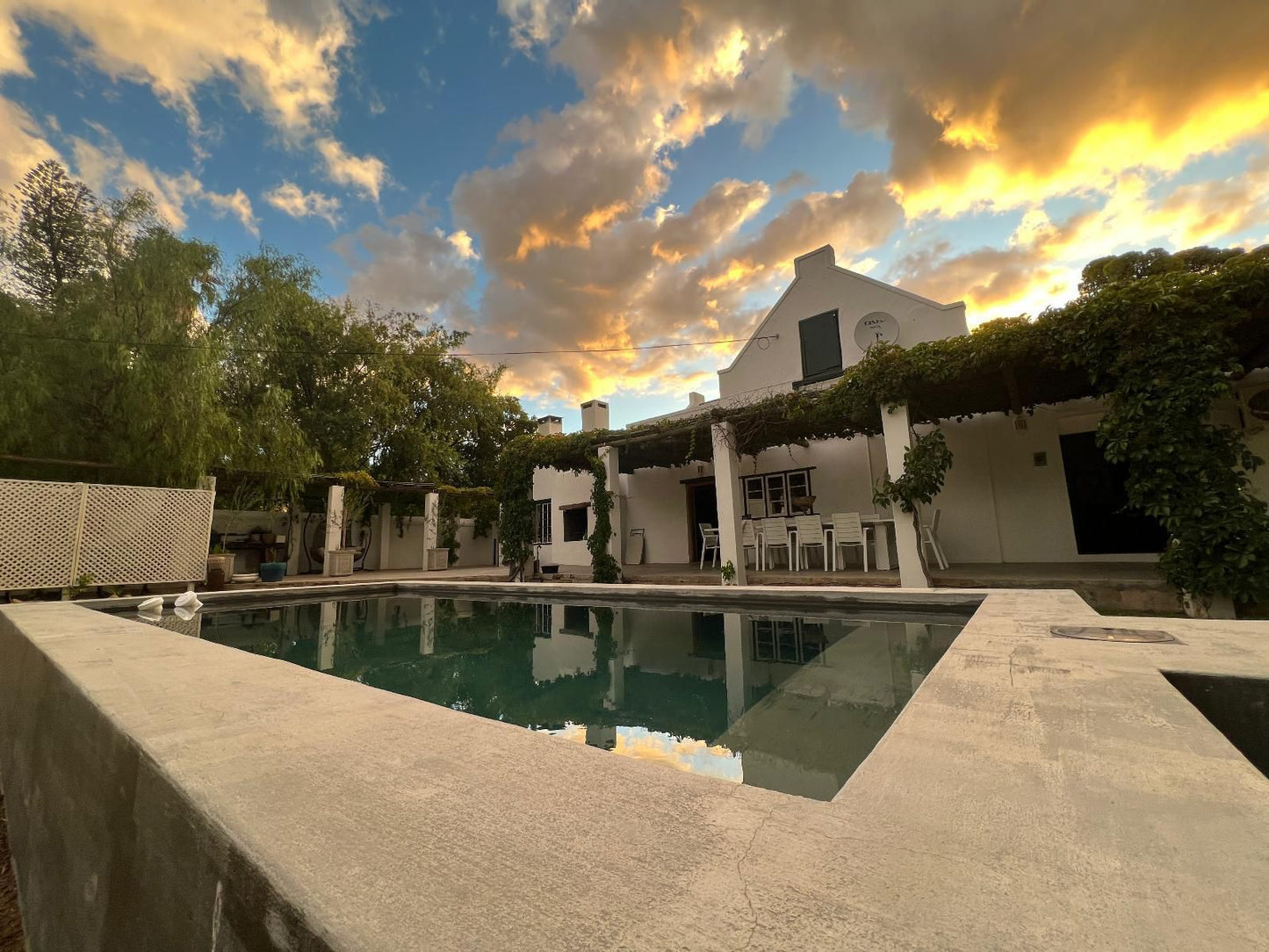 Prince Albert Cottage, Palm Tree, Plant, Nature, Wood, Swimming Pool