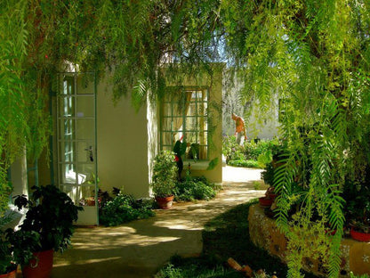 Prince Albert Garden Guest House Prince Albert Western Cape South Africa Palm Tree, Plant, Nature, Wood, Garden