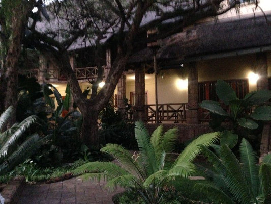 Prinshof Manor Waverley Pretoria Pretoria Tshwane Gauteng South Africa Palm Tree, Plant, Nature, Wood