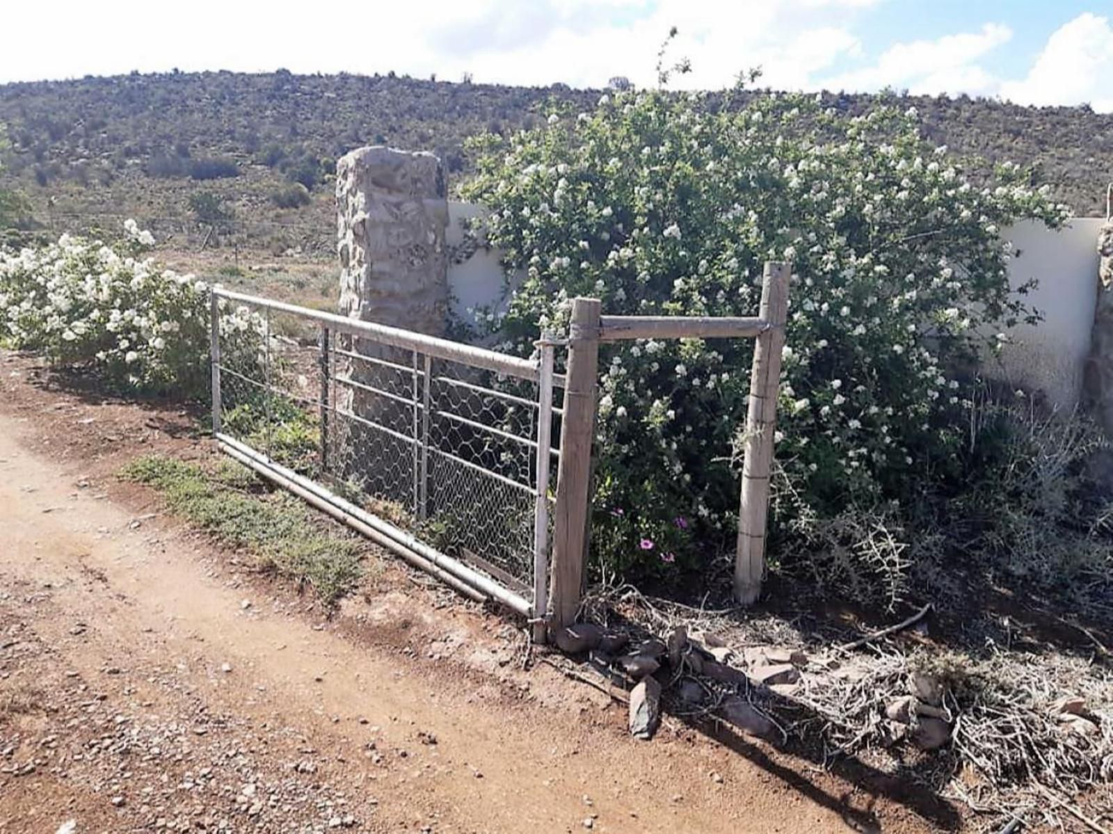 Prinspoort Klein Karoo Stay Little Karoo Western Cape South Africa Cactus, Plant, Nature, Ruin, Architecture