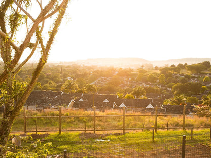 Pristine Pinetown Durban Kwazulu Natal South Africa Field, Nature, Agriculture