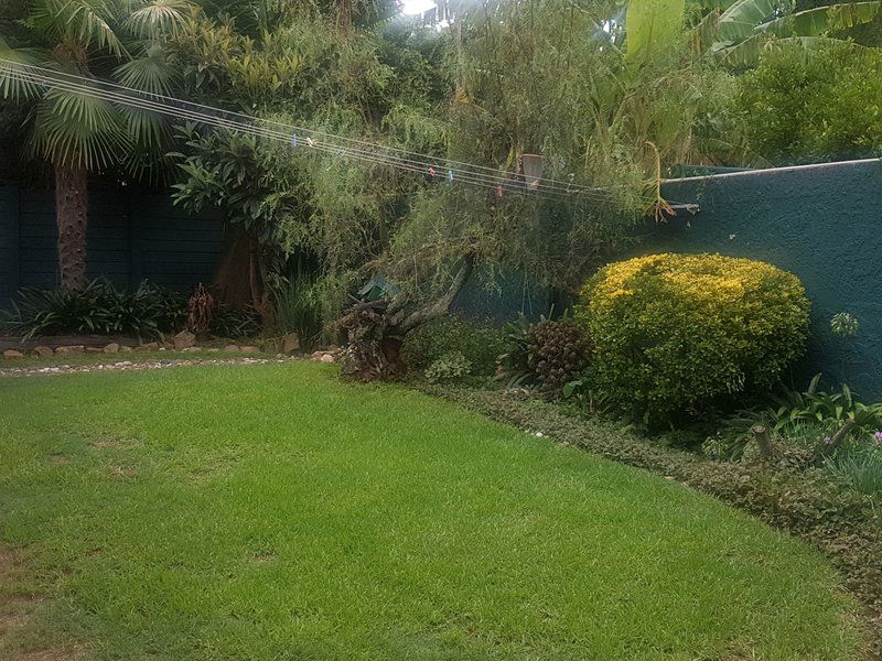 Private Bryanston Cottage With Garden Bryanston Johannesburg Gauteng South Africa Palm Tree, Plant, Nature, Wood, Garden