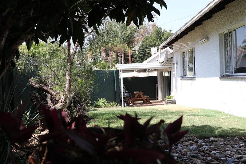 Private Bryanston Cottage With Garden Bryanston Johannesburg Gauteng South Africa House, Building, Architecture, Palm Tree, Plant, Nature, Wood, Tree, Window, Garden, Living Room