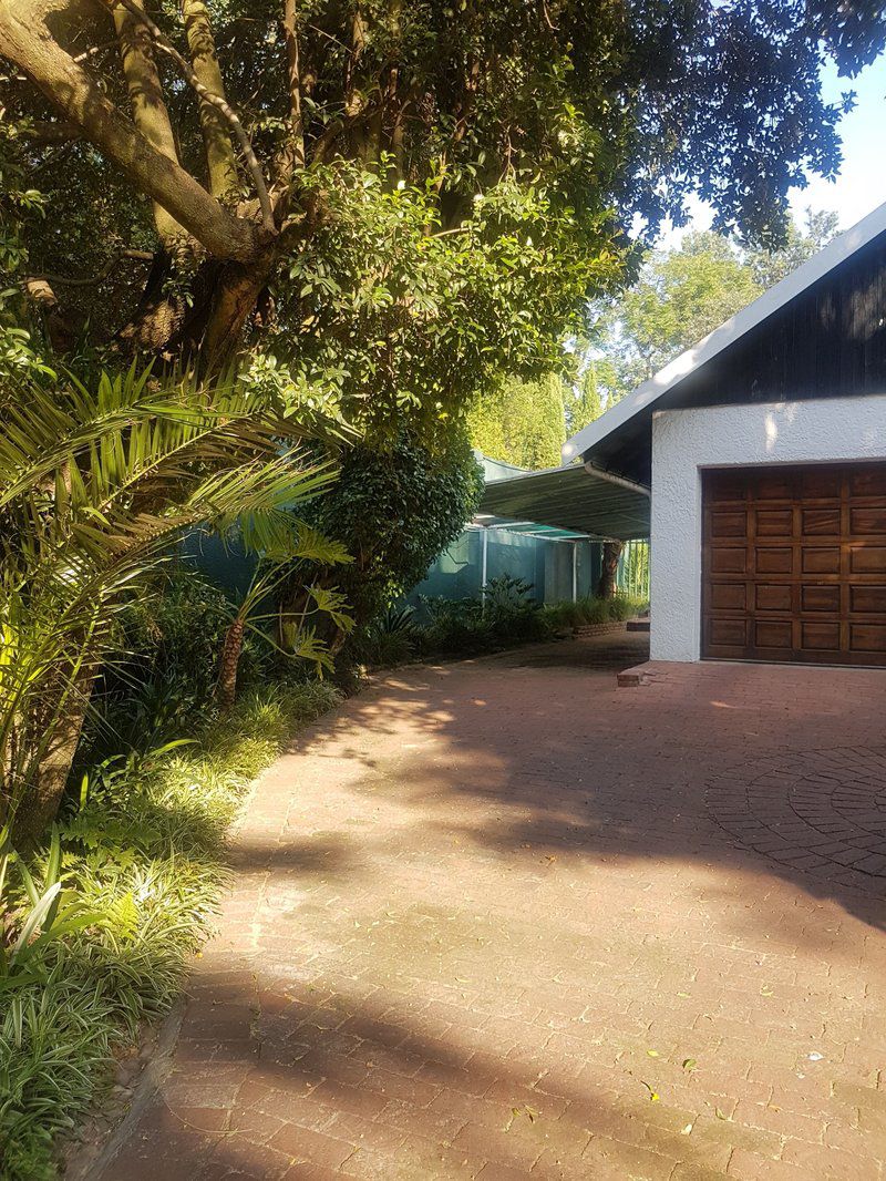 Private Bryanston Cottage With Garden Bryanston Johannesburg Gauteng South Africa Palm Tree, Plant, Nature, Wood