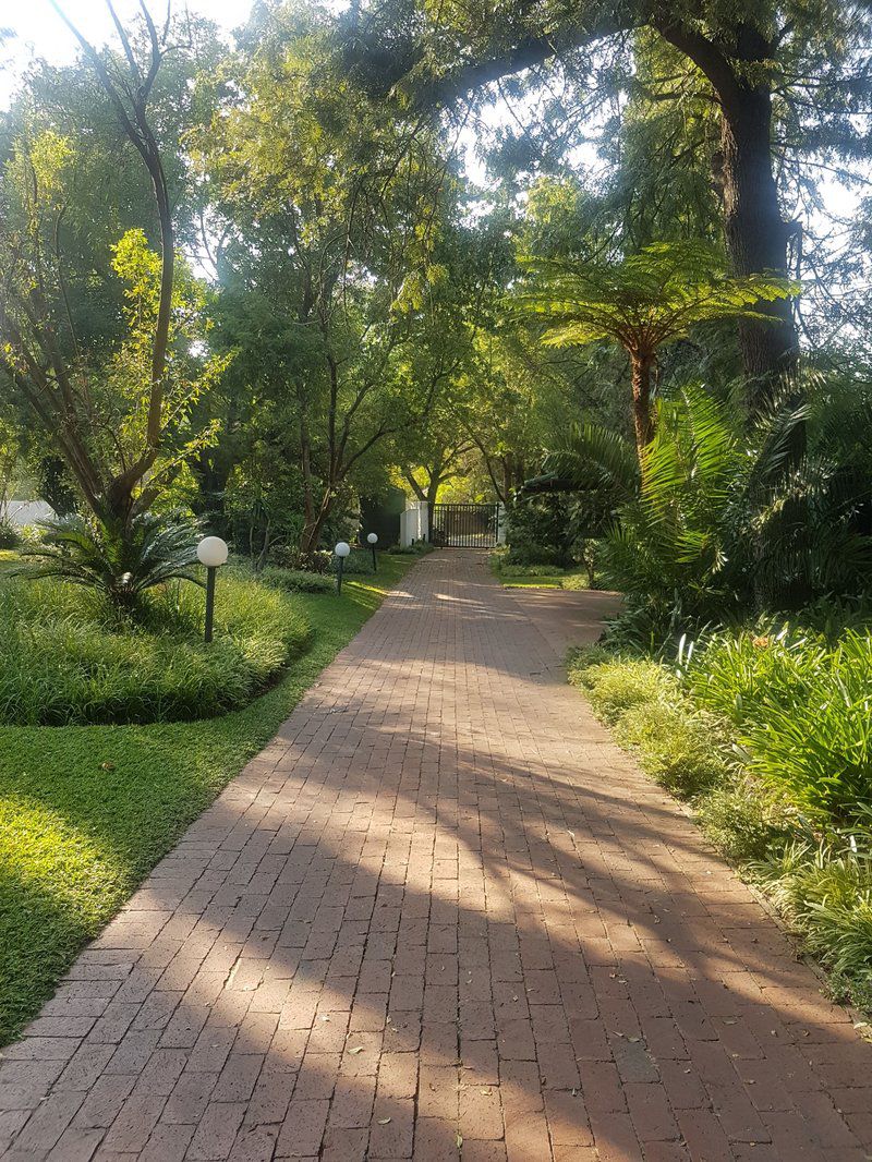 Private Bryanston Cottage With Garden Bryanston Johannesburg Gauteng South Africa Palm Tree, Plant, Nature, Wood, Garden